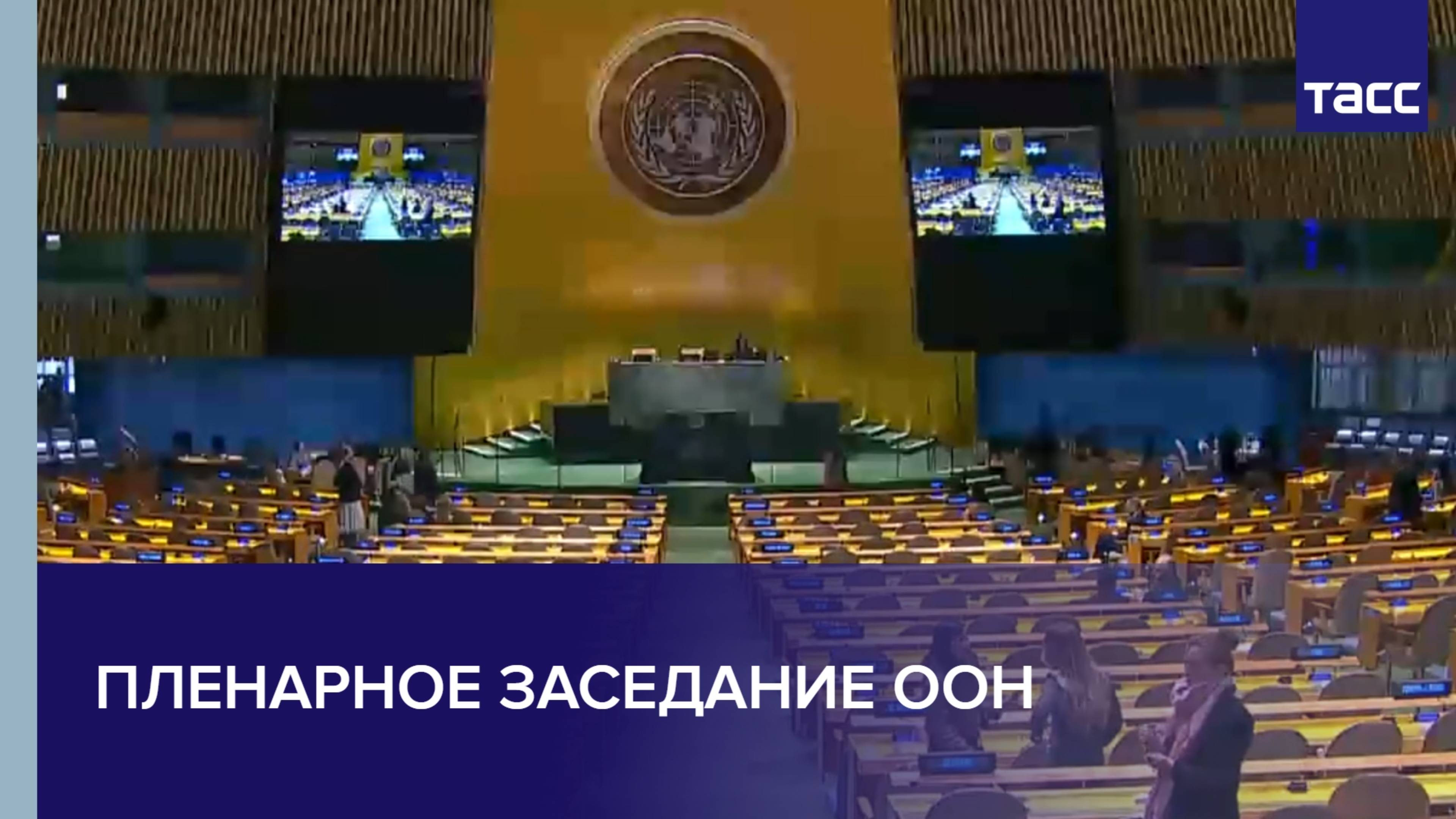 Пленарное заседание ООН