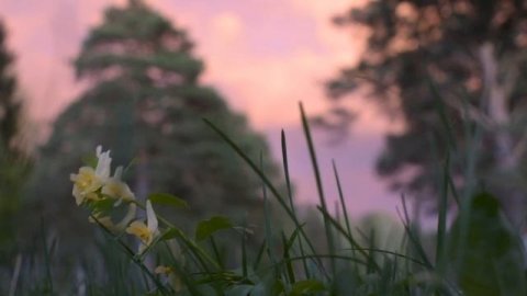 Новососедово. Закаты.