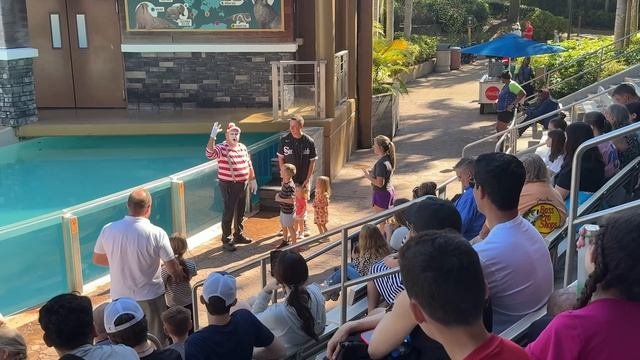 HILARIOUS Tom The Mime (MUST WATCH)   Seaworld Orlando Christmas Celebration