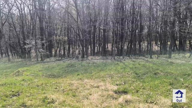 #156 Продам участок 8 соток у леса/Крымский район посёлок Первенец/Переезд на Кубань