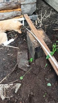 Мой помощник