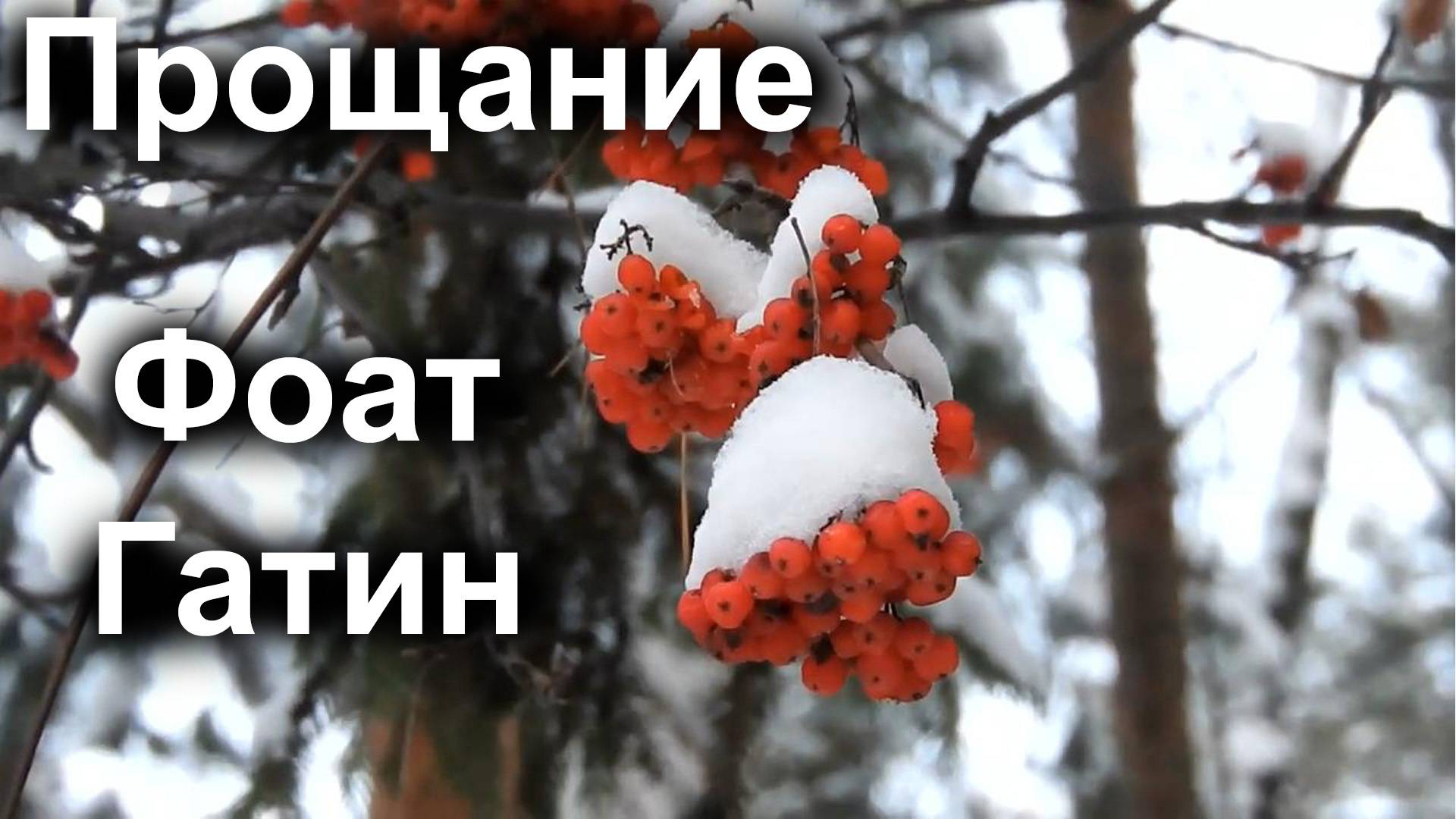 Прощание. Фоат Гатин. 26.07.2025