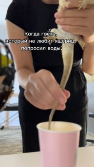 Таким гостям мы не рады 😂