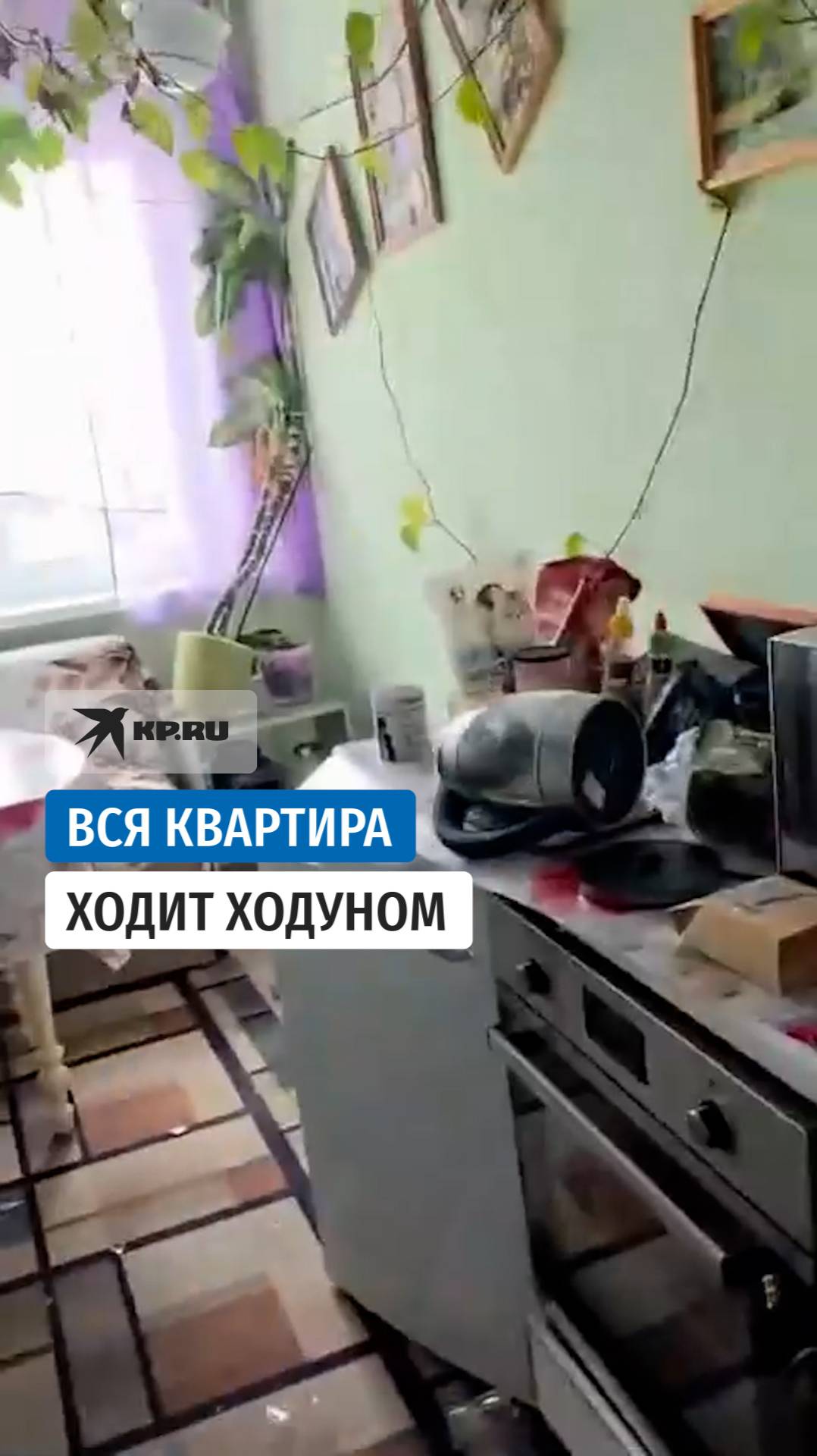 Всю квартиру затрясло во время землетрясения на Камчатке