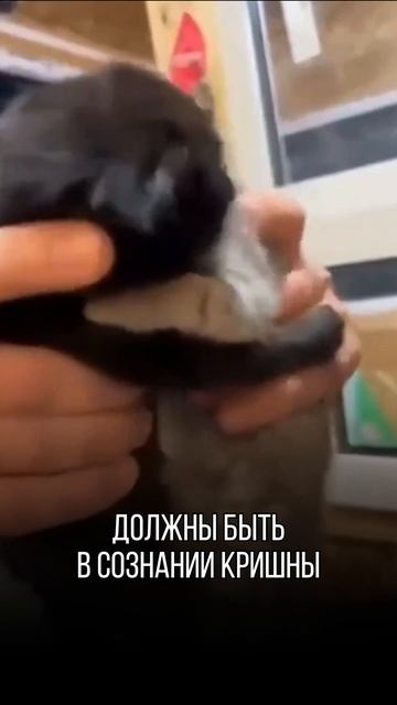 Поддерживаем вас Юмором каждый день!