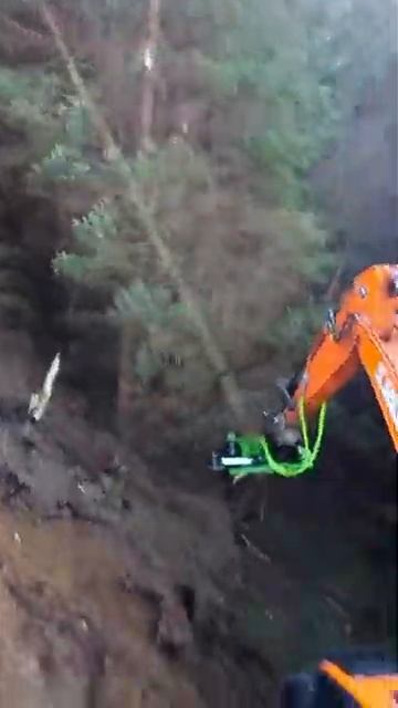 🟢 BI400 Лесные валочные ножницы @omefgroup на экскаваторе Doosan DX210 на 14-24тн