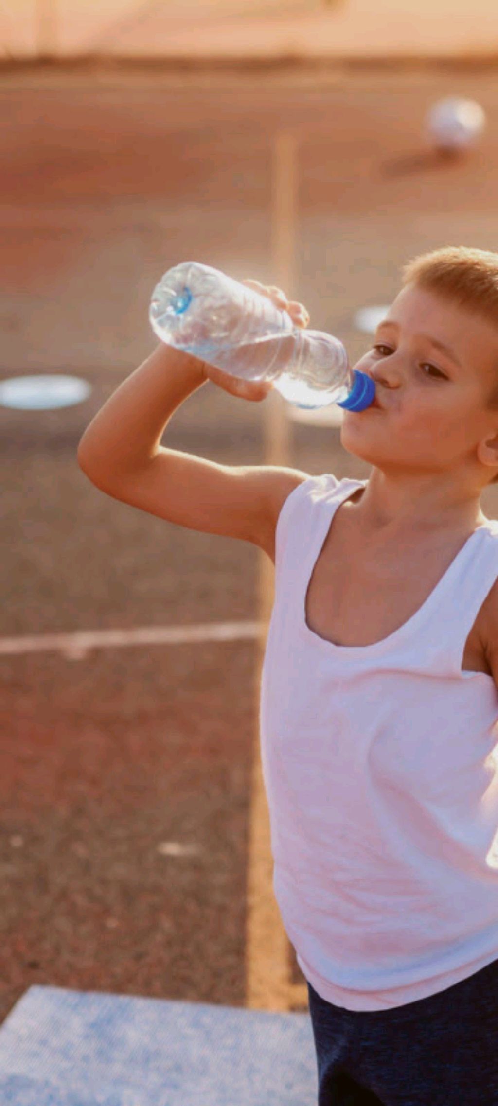 отель у овечек