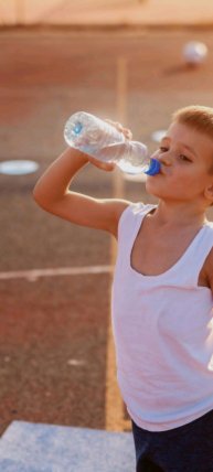 отель у овечек