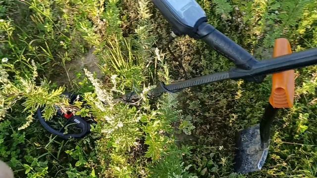 Крутой отдых. Маленькое море в 50 км от Москвы. Первые находки на новый металлоискатель.