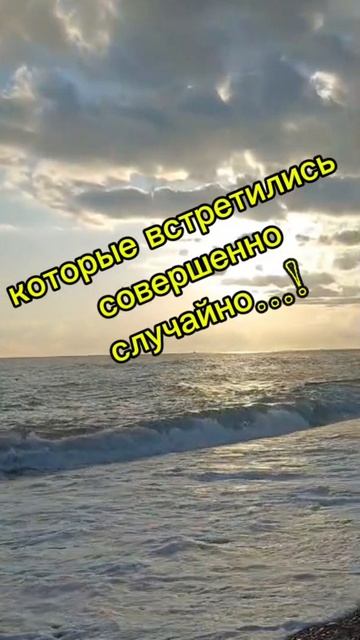 lv_0_20250729085627.mp4