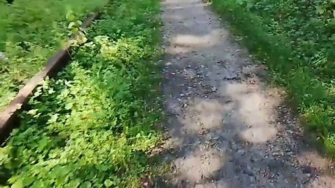 С бабушкой идем в магазин 30-07-2025