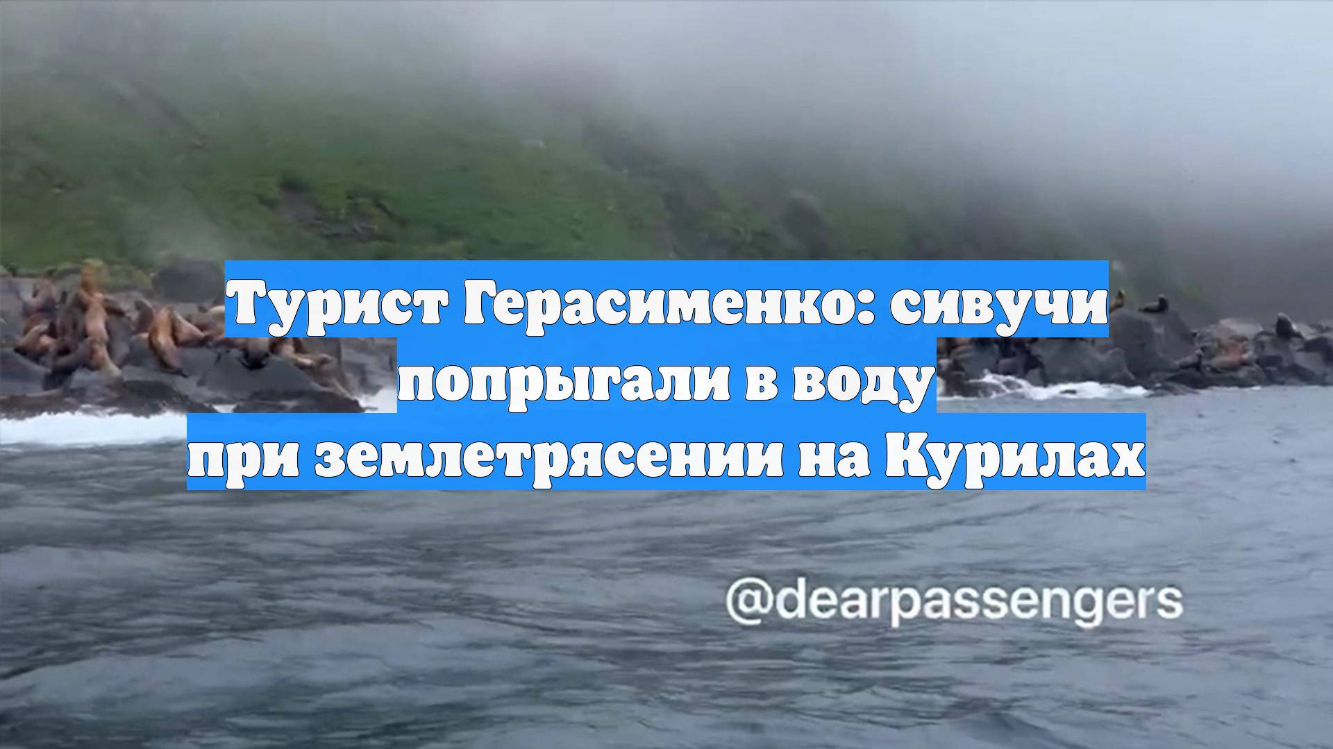 Турист Герасименко: сивучи попрыгали в воду при землетрясении на Курилах