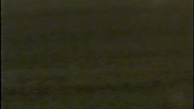 The Backrooms (found footage #1).mp4