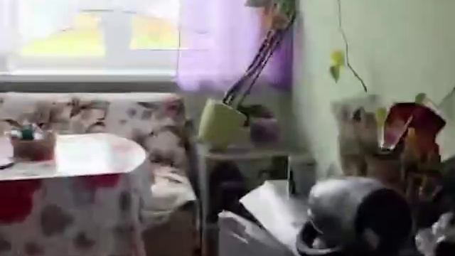 30-07-2025 На Курилах и Камчатке произошло рекордное землетрясение магнитудой до 8,7 — самое мощное