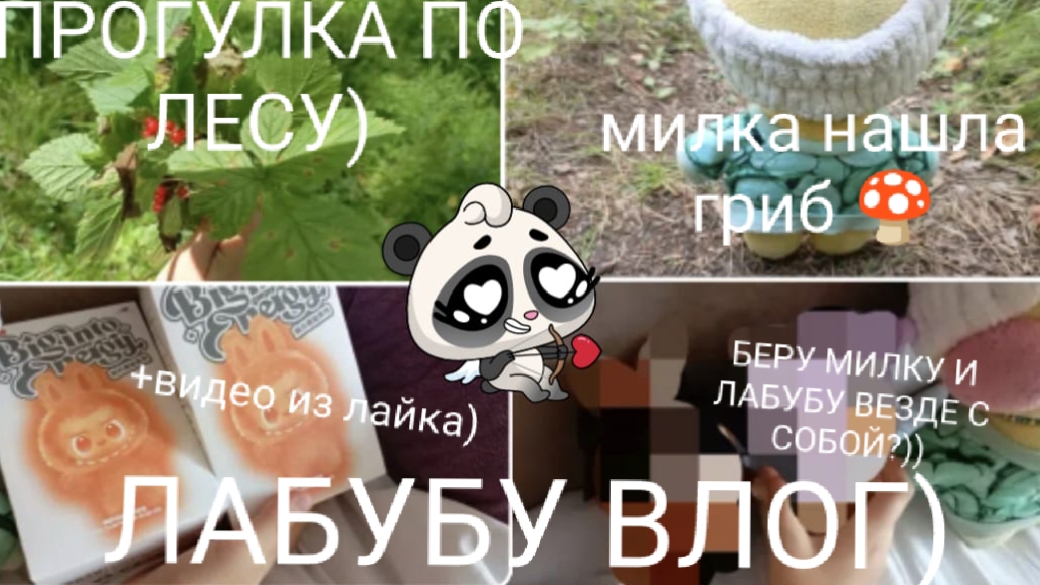 МИНИ ВЛОГ ЛАБУБУ? РАСПАКОВКА ВИДЕО ИЗ ЛАЙКА 
