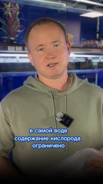 А ЧЕГО ТАК МАЛО ВОДЫ В ПАКЕТЕ?
#аквариум #СовременныйАквариум #аквариумистика