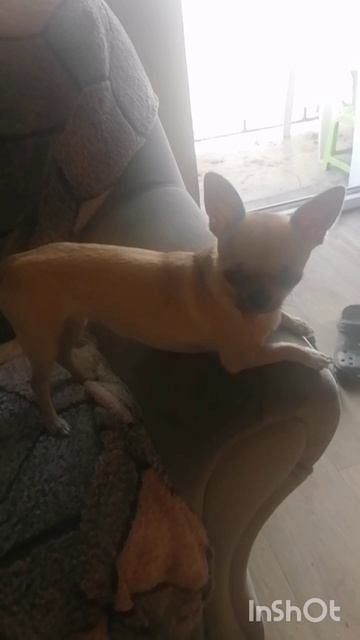 Пограничное состояние