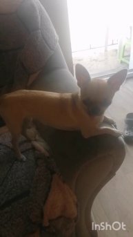 Пограничное состояние