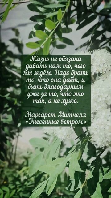 Цитаты о важном (32) #shorts