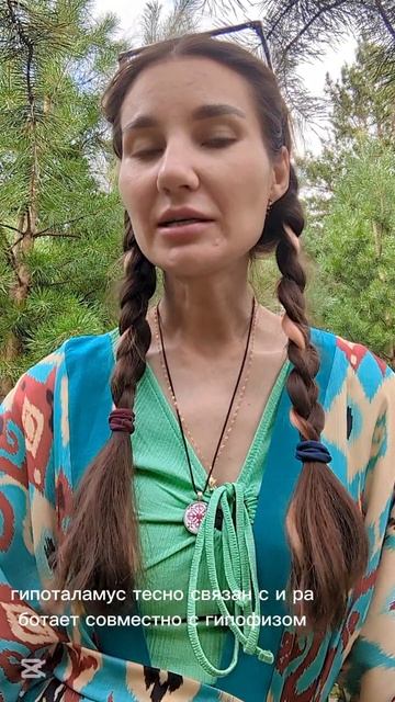 Кто контролирует уровень гормонов в крови? .mp4