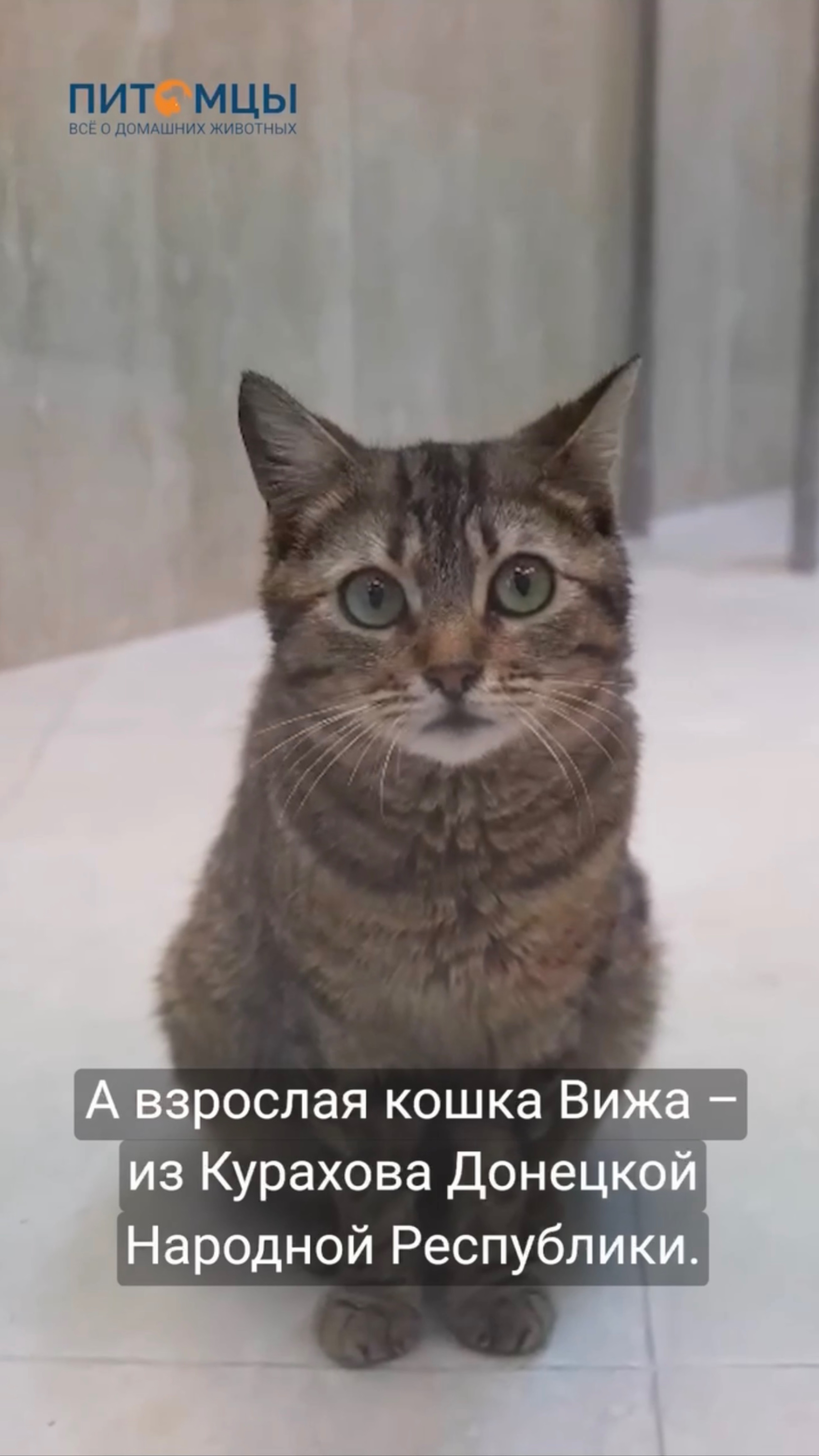 Знакомьтесь с новыми артистами