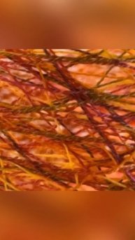 ФотоЭксперимент 2: оранжевый цвет