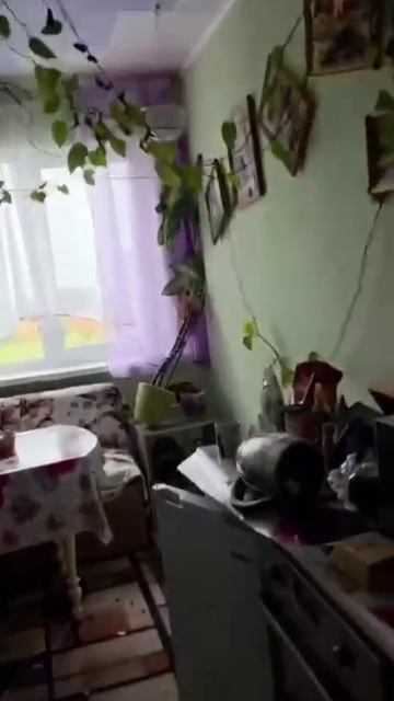 У берегов Камчатки произошло землетрясение магнитудой 8,7