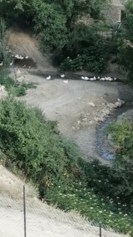 Путешествие по горным районам Дагестана, горы реки, пейзаж классный, гуси пошли к речке