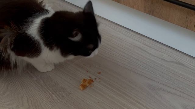 три корочки хлеба