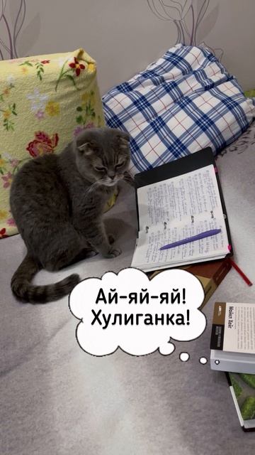 КошКомиксы. Серия 30 «Дестина-корректор»