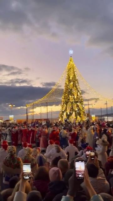 Геленджик Площадь Новый год