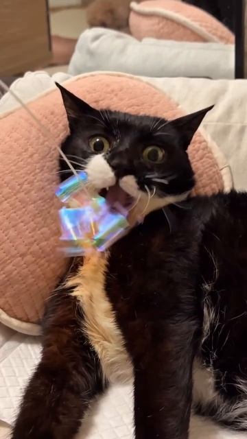 Обалденная мимика😂