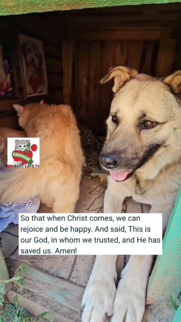 Как прекрасен этот мир который сотворил Господь 😇🌞🌈💓🙏😻🌎 How beautiful is this world created b