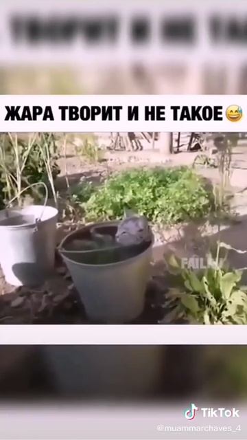 жара☀️☀️☀️☀️