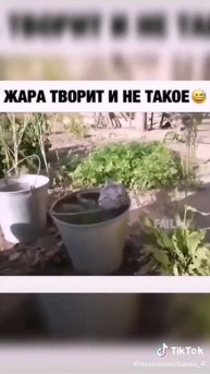 жара☀️☀️☀️☀️