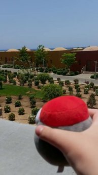 Красная кнопка в Египте . Обзор от подписчика .