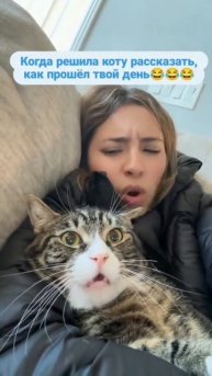 рассказала коту #shorts