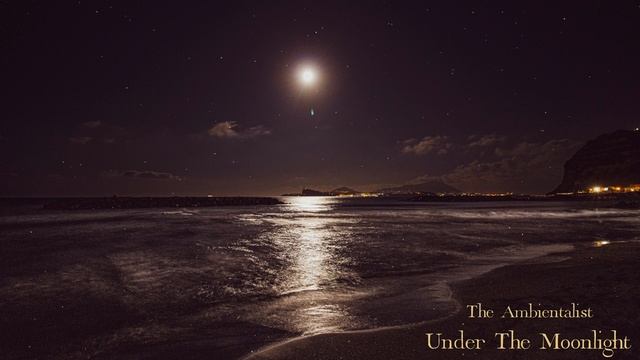 The Ambientalist - Under The Moonlight