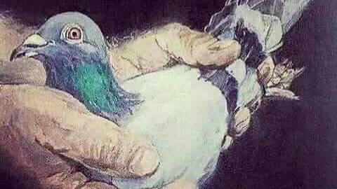 14 гонка. 417 км. Московский регион. Старт 27 июля 2025 года.