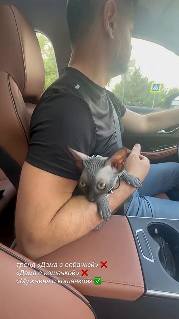 Запускаем новый тренд