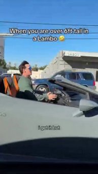 Ничего необычного, просто человек ростом 1,85 метра в Lamborghini.
В его случае от москитов придётс