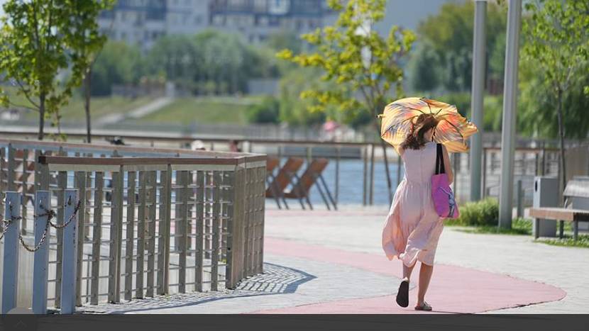 Синоптики спрогнозировали температуру до +31 градуса в Москве 30 июля