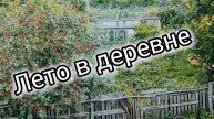Деревенский пейзаж, уютная жизнь в деревне, деревенское лето