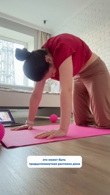 WB#313747509 Ozon#1833170870