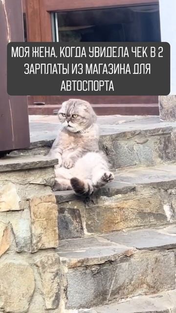 Не пов а рил #гонки  #автоспорт #картинг #гонщик #спорт #motorsport #прикол #шиза#юмор #мем #memes