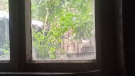 _20250730_дятел ест хлеб в кормушке
