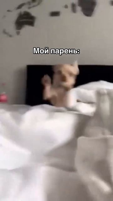 Капучино или раф