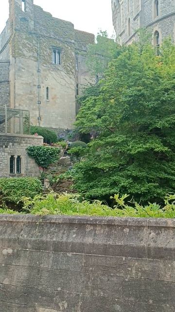 Виндзорский замок ( Windsor Castle)