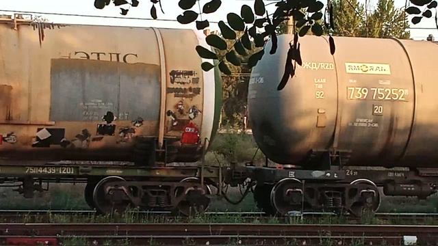 VID_20250729_190434.mp4