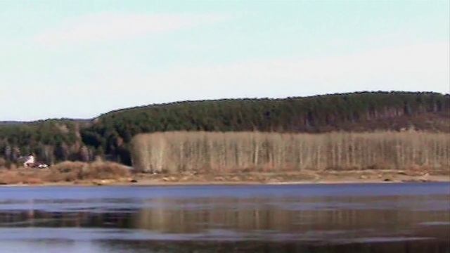 МОЛИТВА ФЕНИКСА (Ясон Феникс)